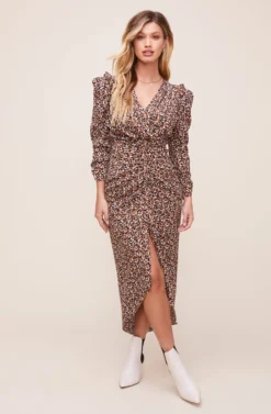 Maven Animal Print Dress