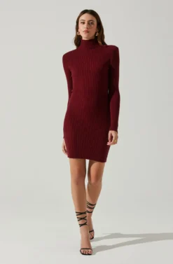 Gwendolyn Turtleneck Sweater Mini Dress 20 Gwendolyn Turtleneck Sweater Mini Dress -Larana Style Shop ACDR100970SH WINE 1 scaled