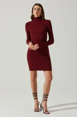 Gwendolyn Turtleneck Sweater Mini Dress 18 Gwendolyn Turtleneck Sweater Mini Dress -Larana Style Shop ACDR100970SH WINE 2 scaled