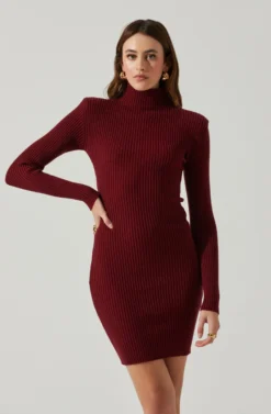 Gwendolyn Turtleneck Sweater Mini Dress 19 Gwendolyn Turtleneck Sweater Mini Dress -Larana Style Shop ACDR100970SH WINE 3 scaled