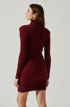 Gwendolyn Turtleneck Sweater Mini Dress 22 Gwendolyn Turtleneck Sweater Mini Dress -Larana Style Shop ACDR100970SH WINE 5 scaled
