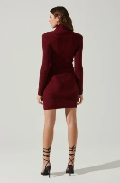 Gwendolyn Turtleneck Sweater Mini Dress 23 Gwendolyn Turtleneck Sweater Mini Dress -Larana Style Shop ACDR100970SH WINE 6 scaled